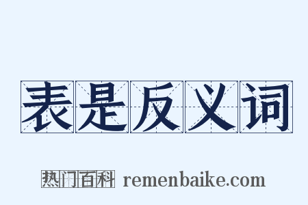 表是反义词是什么意思的图片